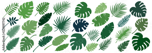 Big collection distinct hand-drawn silhouettes of popular tropical leaves, for vacation exotic posters, travel jungle flyers, promotion invitation and botanical greenery illustrations