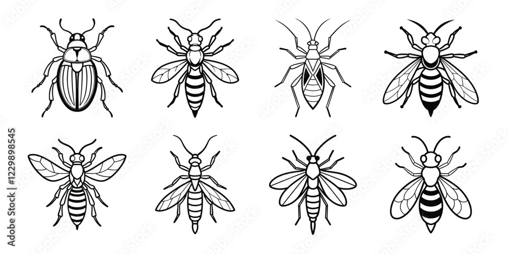 Insects liner art set. Vector illustrations poisonous insects isolated on white background Insects liner art set. Vector illustrations poisonous insects isolated on white background