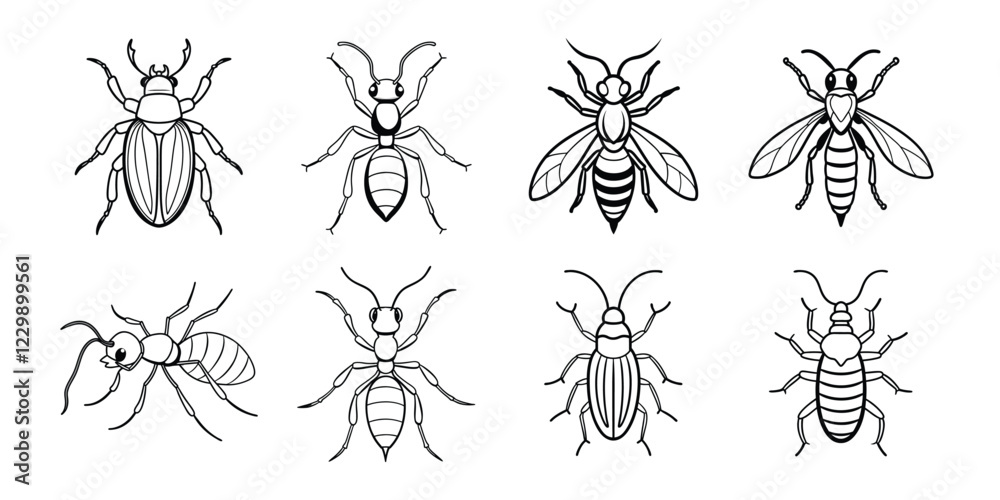 Insects liner art set. Vector illustrations poisonous insects isolated on white background Insects liner art set. Vector illustrations poisonous insects isolated on white background