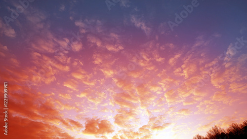 Cute Pink Sky with Clouds at Sunrise and Sunset photo