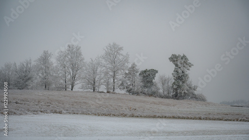 Wallpaper Mural Winterlandschaft im Waldviertel Torontodigital.ca