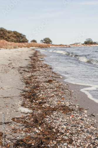 beach and sea waves aginst beach 