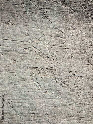 reperti storici di arte rupestre su pietra, incisione di cervo