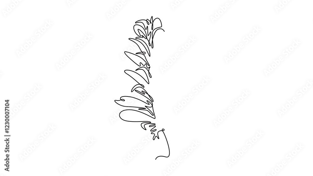 Self drawing animation of single line draw beauty fresh acanthus for home art wall decor poster print. Decorative bear's breeches flower for greeting card. Continuous line draw. Full length animated Self drawing animation of single line draw beauty fresh acanthus for home art wall decor poster print. Decorative bear's breeches flower for greeting card. Continuous line draw. Full length animated