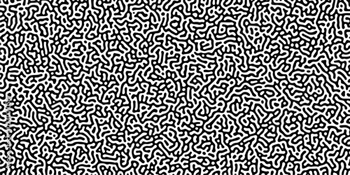 Turing reaction diffusion monochrome seamless pattern with chaotic motion .Linear design with biological shapes. Organic lines in memphis. abstract turing organic wallpaper background .	