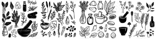 Herbal elements arranged creatively showcasing natural remedies and botanical illustrations with a hint of artistry