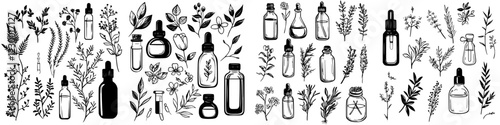 Collection of herbal extracts and essential oils in various glass bottles surrounded by plants and herbs