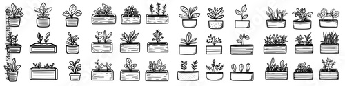 Artistic arrangement of hand-drawn plants in decorative pots on a white background showcasing nature's beauty