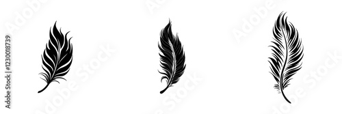 Feathers displayed on a white background showcasing intricate details and designs that evoke a sense of elegance and beauty