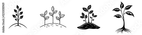 Growth stages of plants illustrated in a minimalist style, showcasing evolution from sprouts to mature greenery