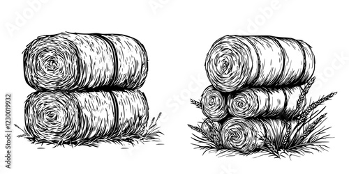 Stacked hay bales in a rural field with varying textures and surroundings under bright daylight