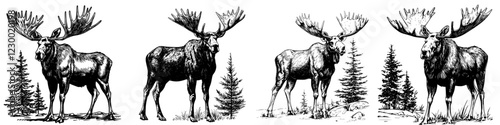 Moose display in forest setting showcasing detailed features and majestic antlers with a backdrop of pine trees