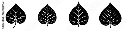 Four distinct black leaves with intricate vein patterns against a clean background, showcasing diverse shapes and details