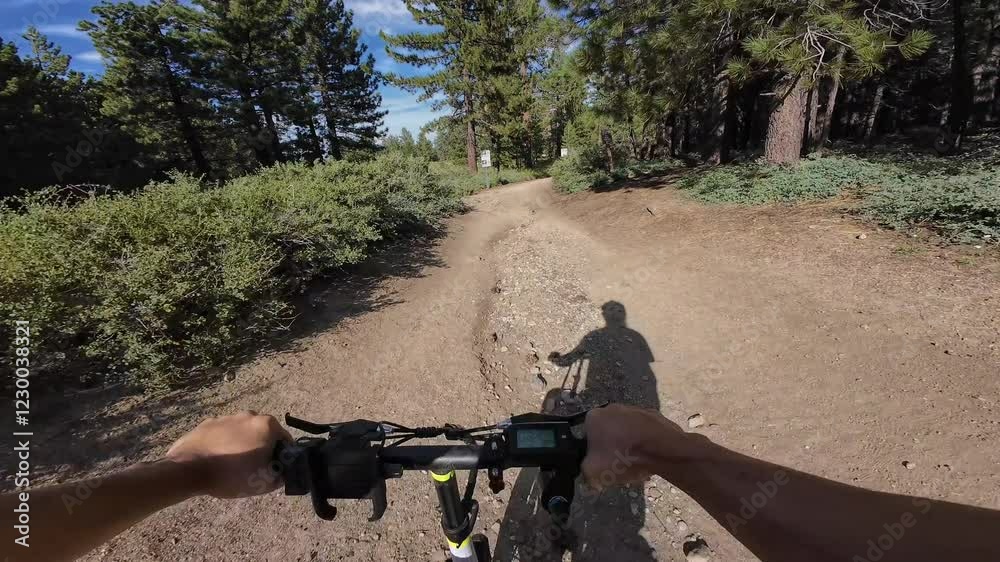 Mountain Bike Ride POV Mt Pinos McGill Trail Trailhead Cycling in California USA Mountain Bike Ride POV Mt Pinos McGill Trail Trailhead Cycling in California USA