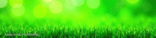 Seamless green grass border for web use, natural, online