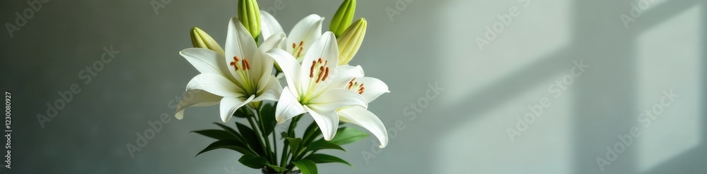 Fototapeta premium Cross-shaped arrangement of white lilies in a vase, , flowers, cross lilies