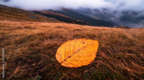 Dried yellow leaf on grass in mountain landscape