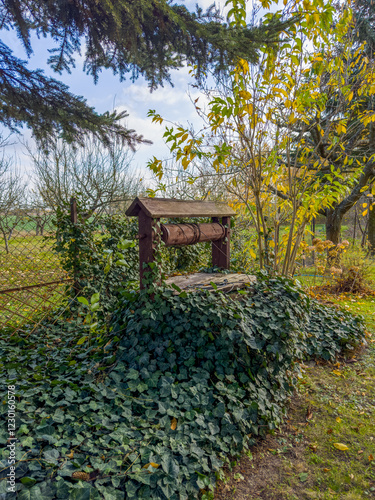 Stara drewniana studnia ogrodowa otoczona bujną zielenią i bluszczem