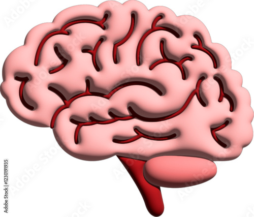 3D human brain illustration, Clear visuals of cortex, cerebellum & brain stem, Best diagram for students to learn & understand