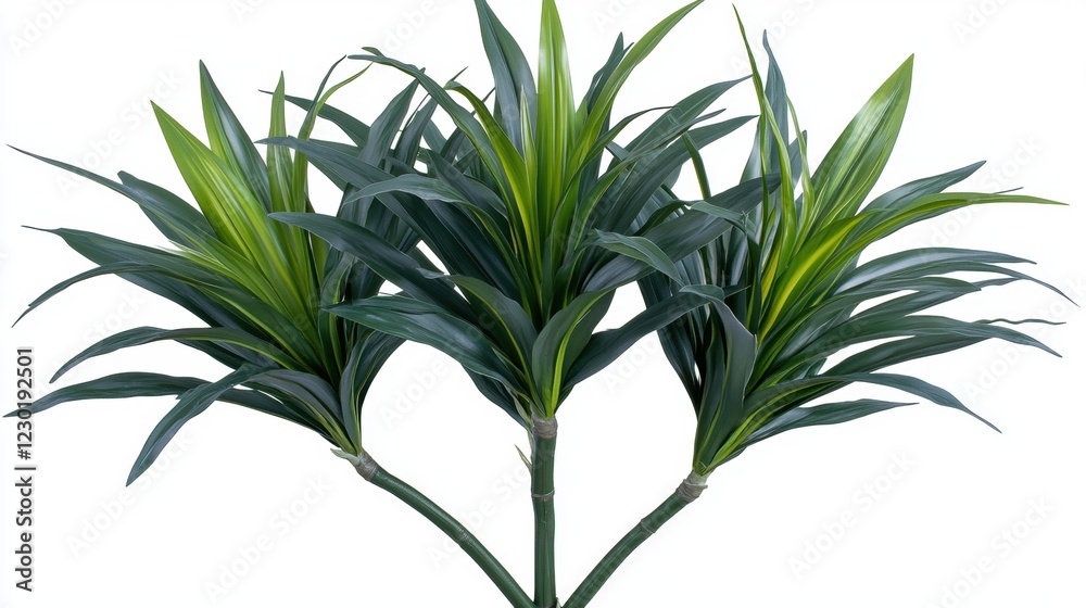 Obraz premium Lush Green Leaves Emerging from Vibrant Indoor Plant Arrangement