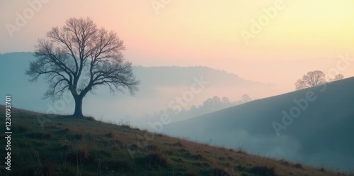 Foggy morning landscape with misty hills and bare trees, treeless, fog