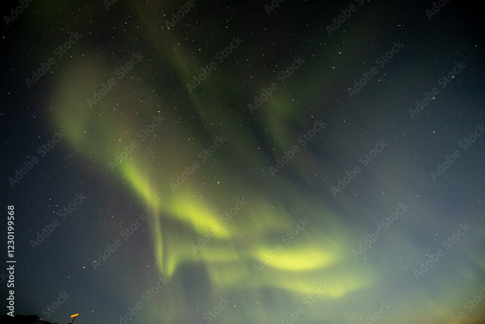 Fototapeta premium tanzende polarlichter