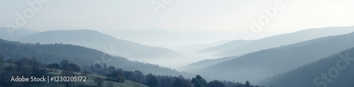 A delicate fog settles over a grey and white landscape of rolling hills, grey, hill, serene