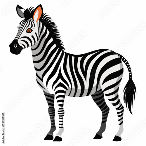 Photography zebra vector illustration