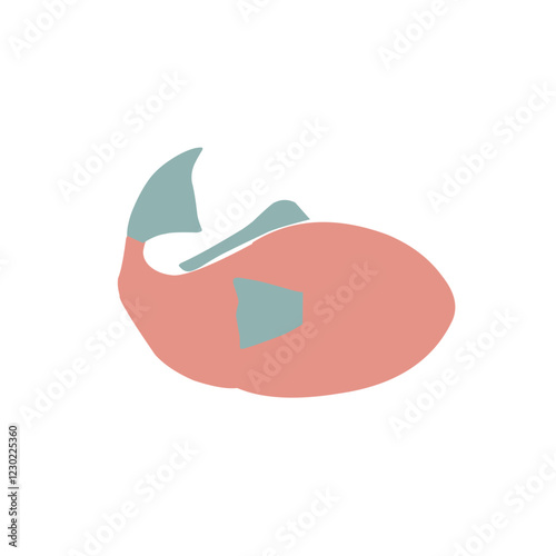 Chinese new year vector