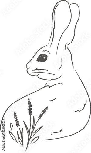 Rabbit With Flowers Sketch