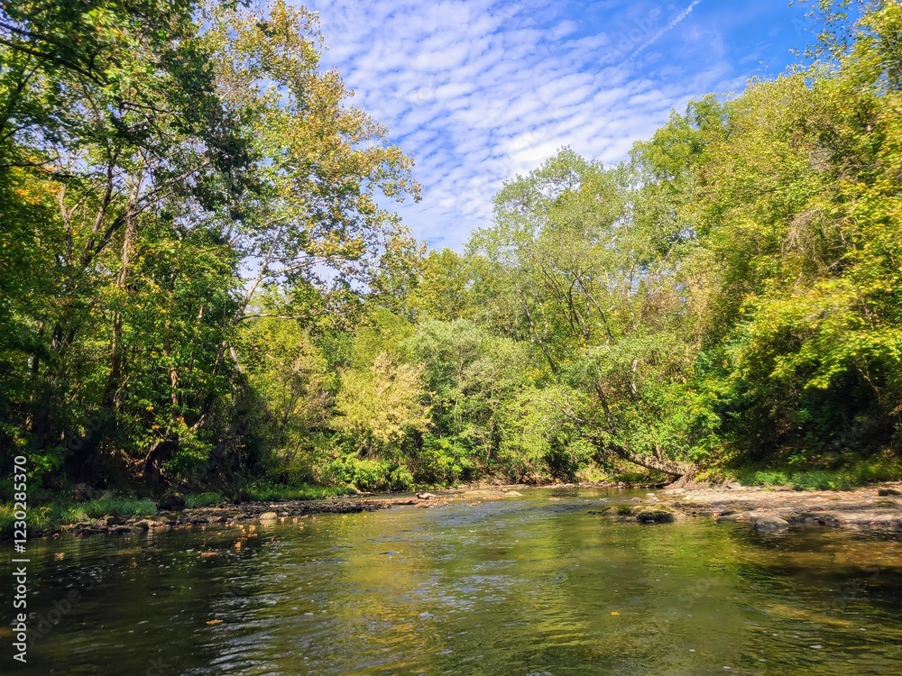 Obraz premium Tranquil River and Forest Canopy with Dappled Light in Hocking Hills