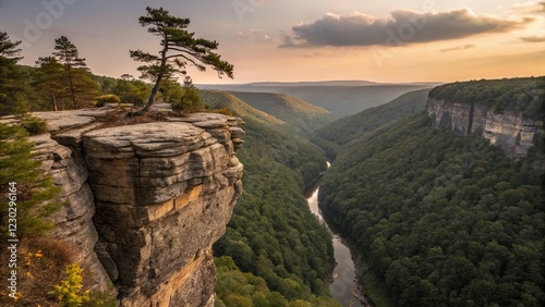 A breathtaking canyon scene at sunset features a dramatic cliff with a lone tree, overlooking a winding river and dense forest stretching into the hazy horizon.
