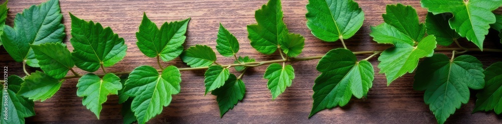 Ivy leaf arrangement on a natural wood background, ivy, botanical, natural Ivy leaf arrangement on a natural wood background, ivy, botanical, natural