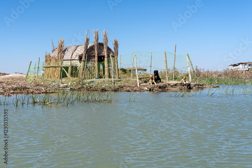 Reed house of Marsh Arabs, Mesopotamian Marshes, Ahwar of southern Iraq, Unesco site, Iraq