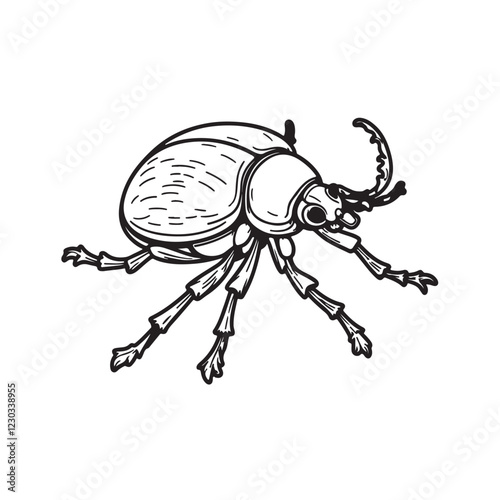 beetle isolated line art vector on white background