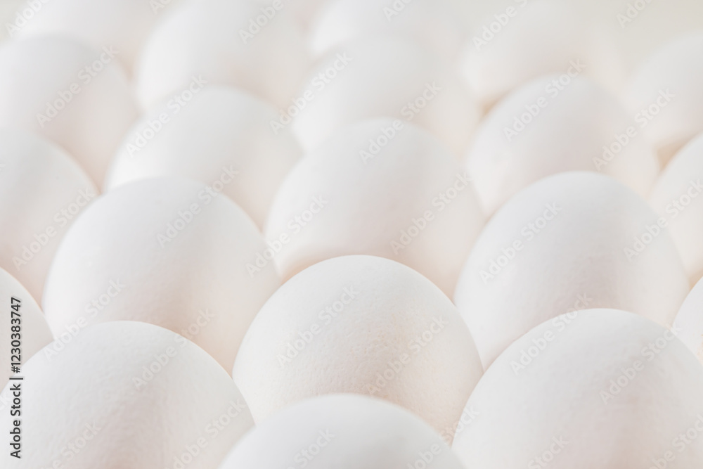 Texture of raw chicken eggs, closeup. White chicken eggs background Texture of raw chicken eggs, closeup. White chicken eggs background