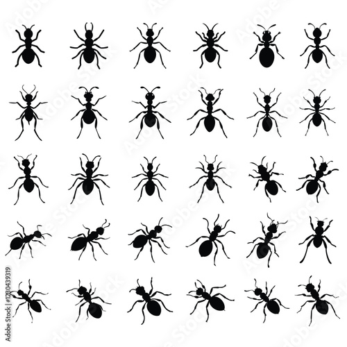 Ant vector silhouette.Ant vector silhouette.Ant silhouette, ant icon, Vector Illustration