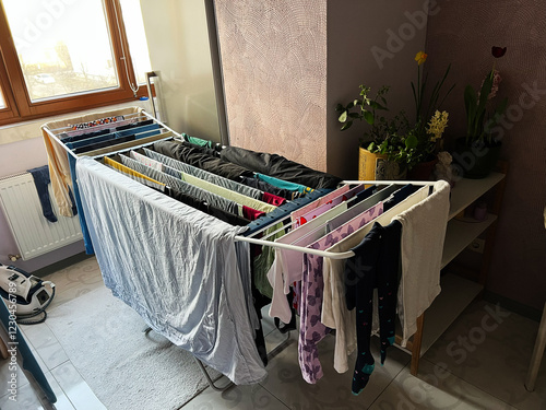 Interior space with clothes drying on racks and natural lighting