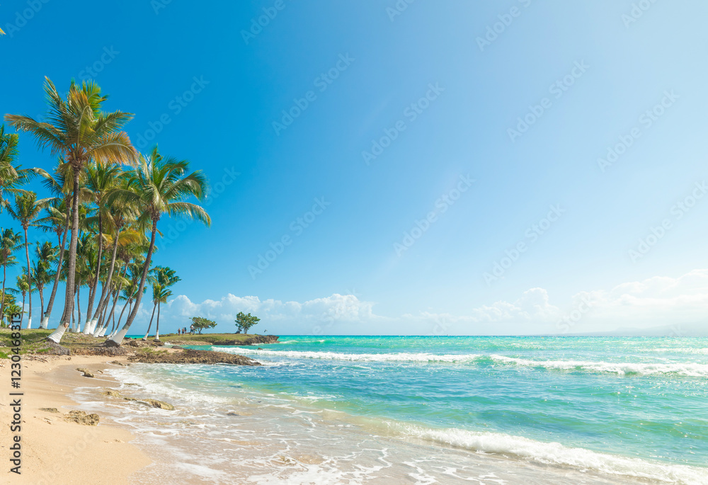 Palms by the sea under a shining sun in a tropical beach