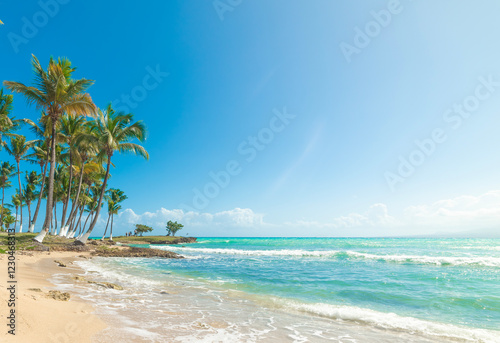 Obraz na płótnie Palms by the sea under a shining sun in a tropical beach w salonie