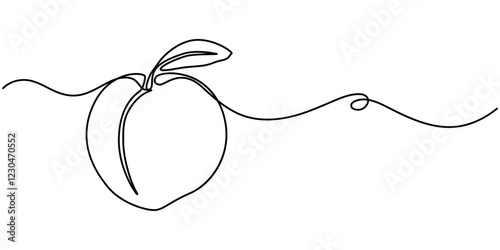Peach fruit in continuous line art drawing style. Simple black sketch made of one line isolated on white background, Apricot vector illustration. One line drawing art illustration.