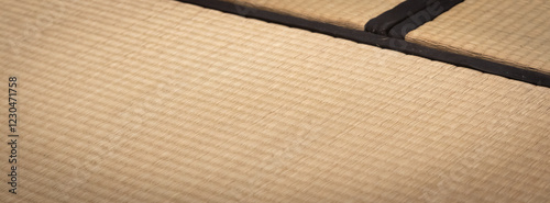 Obraz na płótnie Tatami background - original Japanese mat, vintage design, zen culture w salonie