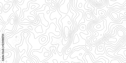 Curved reliefs abstract background White wave paper. Black and white lines seamless Topographic map patterns, topography line map. Contour abstract map relief land outline. Topographic map patterns.	
