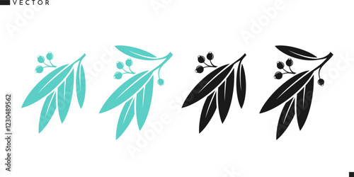 Eucalyptus branch with leaves silhouette. Eucalyptus tree vector illustration  