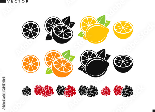 Fruit with berries vector illustration. Isolated orange fruit lemon lime raspberry and blackberry. Natural food icon