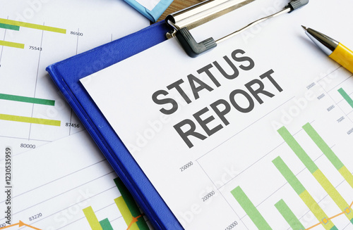 FSR - Financial Status Report is shown as business concept photo