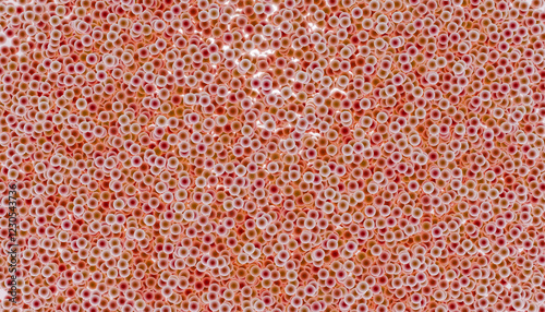 High resolution 3d render of densely packed colorful balls