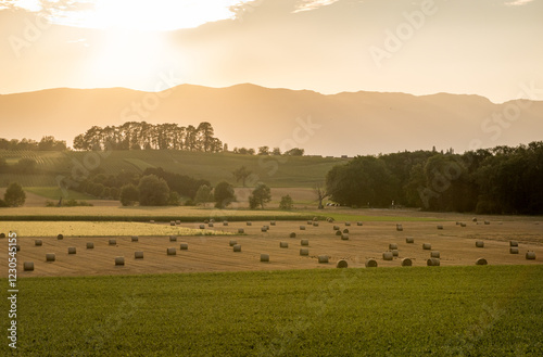 Sunset over hay bales in rural Geneva landscape