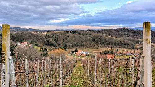 Obraz na płótnie winter rural landscape scenery, vineyards at Klenice, Croatia, County Hrvatsko zagorje w salonie