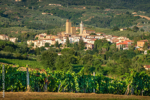 Vinci village, Leonardo Da Vinci birthplace and vineyards. Florence, Tuscany Italy photo